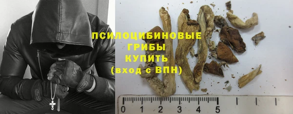ECSTASY Пенза