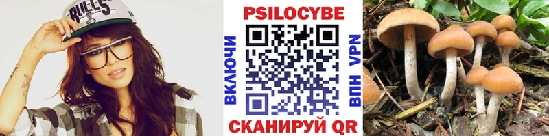 Псилоцибиновые грибы Psilocybine cubensis  как найти   Кириллов 